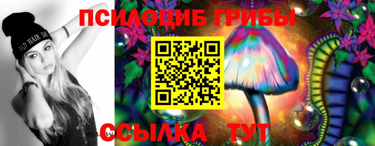 Псилоцибиновые грибы Cubensis Алексеевка